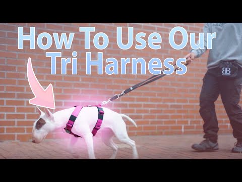 Anti-Pull TRI-Harness® | Training Dog Harness for All Breeds - Light Blue