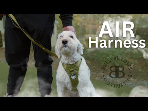 Air Harness | Anti-Pull & With Handle - Purple