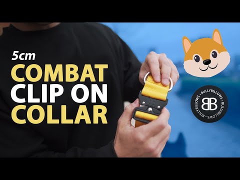 5cm Combat® Collar | With Handle & Secure Clip - Orange